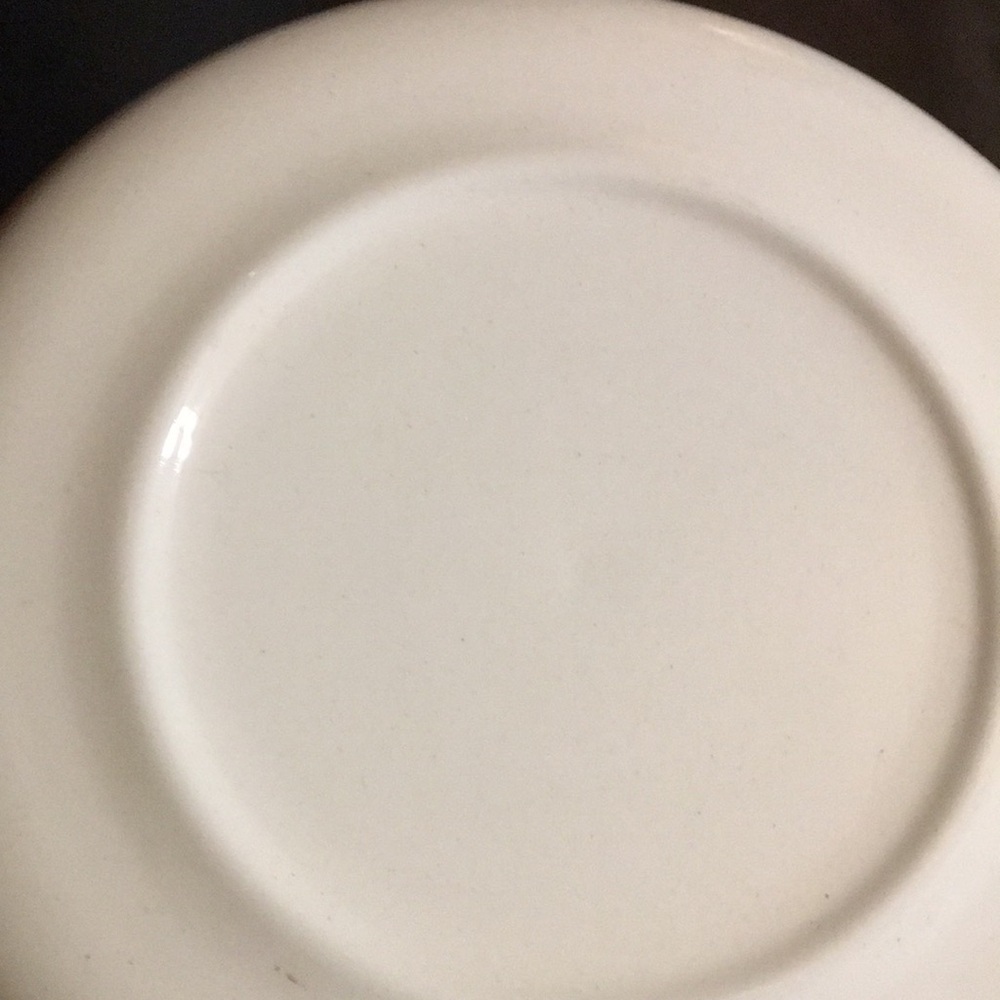 Kentucky Kitsch Tourist Souvenir Ceramic Collectible Plate Vintage 1960s - Picture 5 of 17